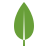 MongoDB Compass